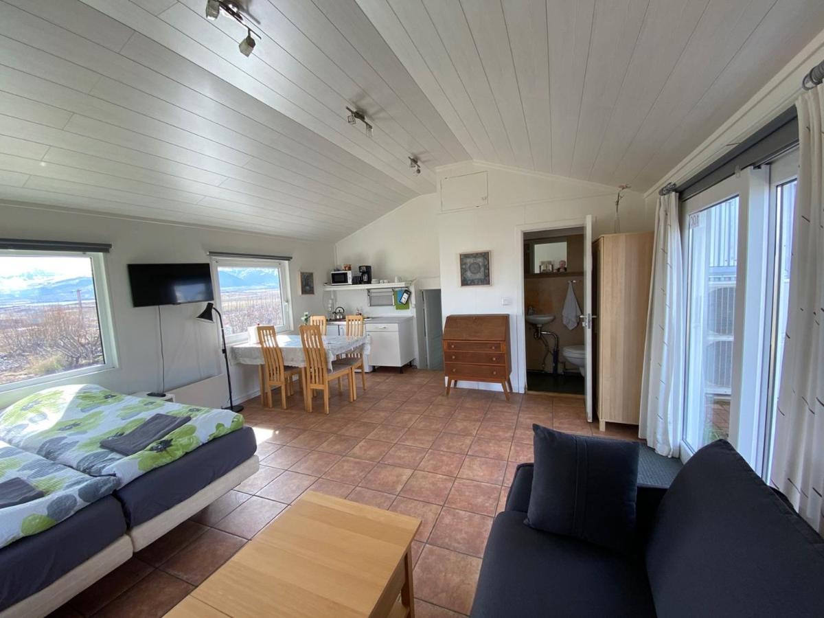 Laekjarkot Rooms And Cottages With Kitchen Borgarnes Bagian luar foto